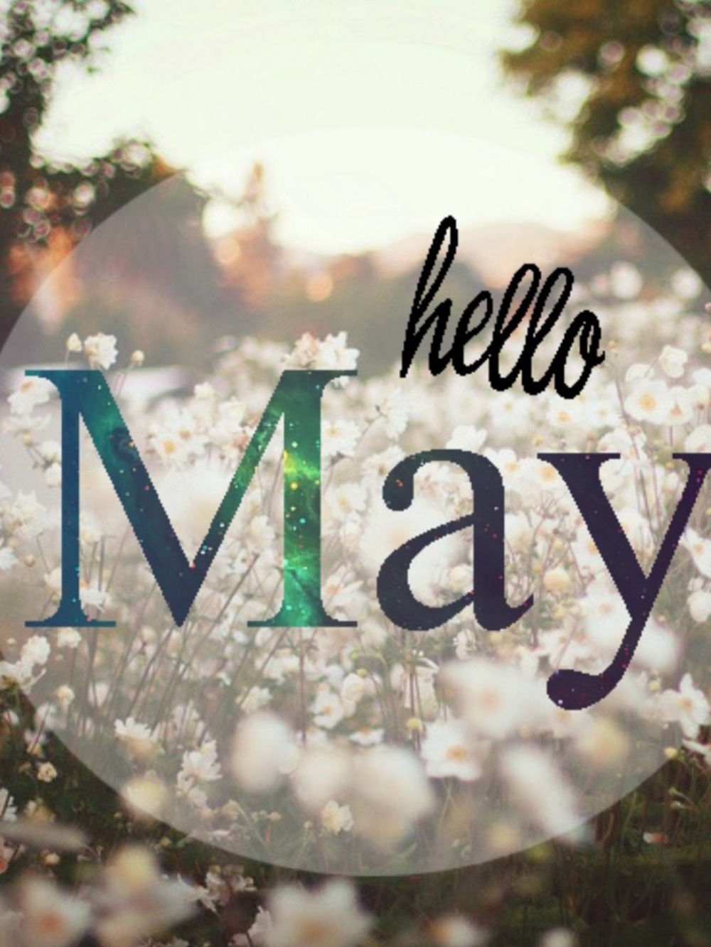 Bundle for May